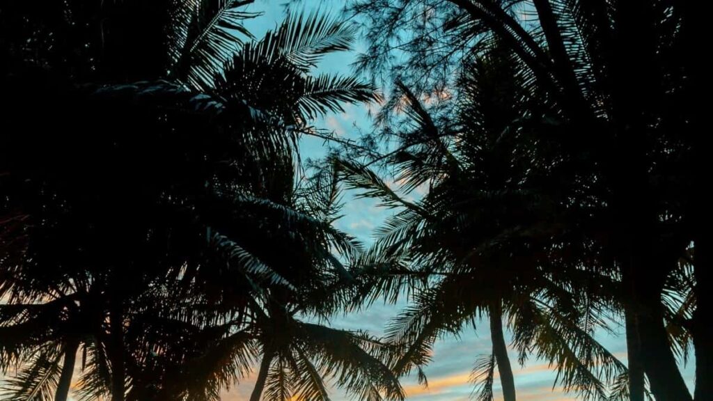 2025 India Instagram Teljes Kategória Hirdetési Díj Szabályzat