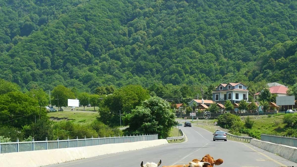 Magyar márkák és Bilibili: Hogyan kérj blogmegjelenést?