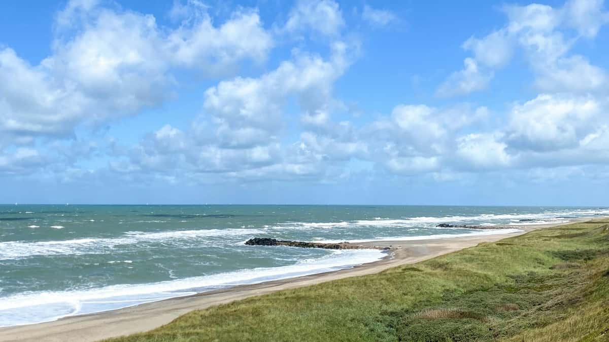 Skandináv márkák YouTube-on: így növeld az online kurzusod feliratkozóit