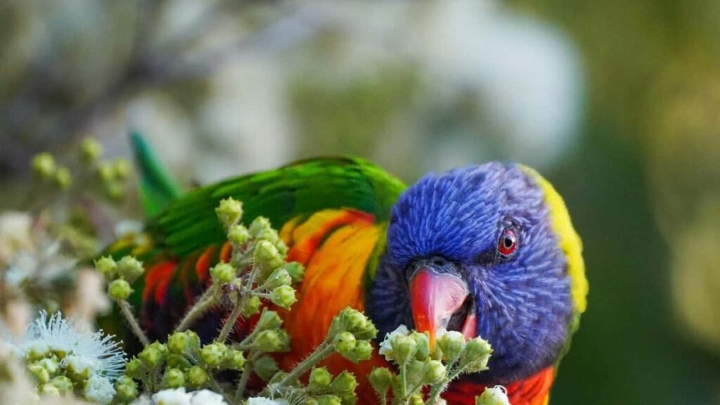 Gyakorlati utmutato magyar alkotoknak: hogyan vedd fel a kapcsolatot indiai HBO Maxmarkakkal, hogy egeszseges szokasokat osszatok meg kovetokkel strategiak, szabalyok, peldak.