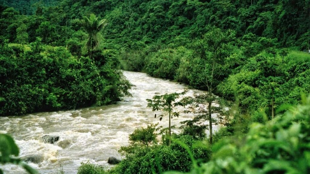 Gyakorlati, lepesrol-lepesre utmutato magyar alkotoknak: hogyan talald meg es koss uzletet az Egyesult Arab Emirsegek markaival WeChaten, mikor a phygital retail es kinai fizetesek uraljak a kozeget.