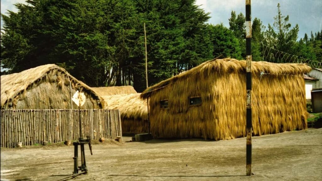 Gyakorlati utmutato magyar hirdetoknek: hogyan talalj es vegyel fel del-afrikai Taobao-kreatorokat uj termek promociojahoz.