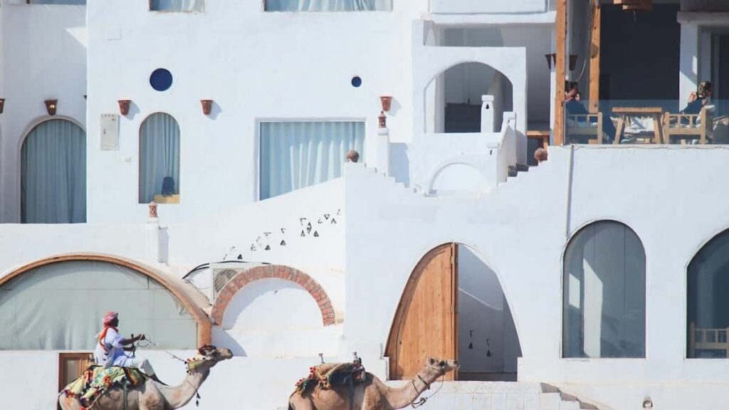 Gyakorlati utmutato magyar hirdetoknek: hogyan talalj es aktivalj montenegroi TikTok-kreatorokat fenntarthatosagi, creator-led kampanyokralokalis taktikak, meroszamok es egyuttmukodesi modellek.