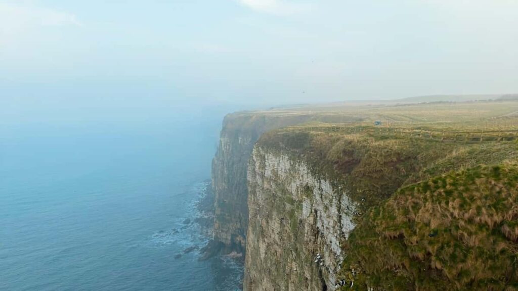 Gyakorlati utmutato magyar alkotoknak: hogyan erd el a sved markakat Apple Musicon, epits partneri kampanyt es noveld az online kurzusok regisztracioit taktikak, peldak es akcioterv.