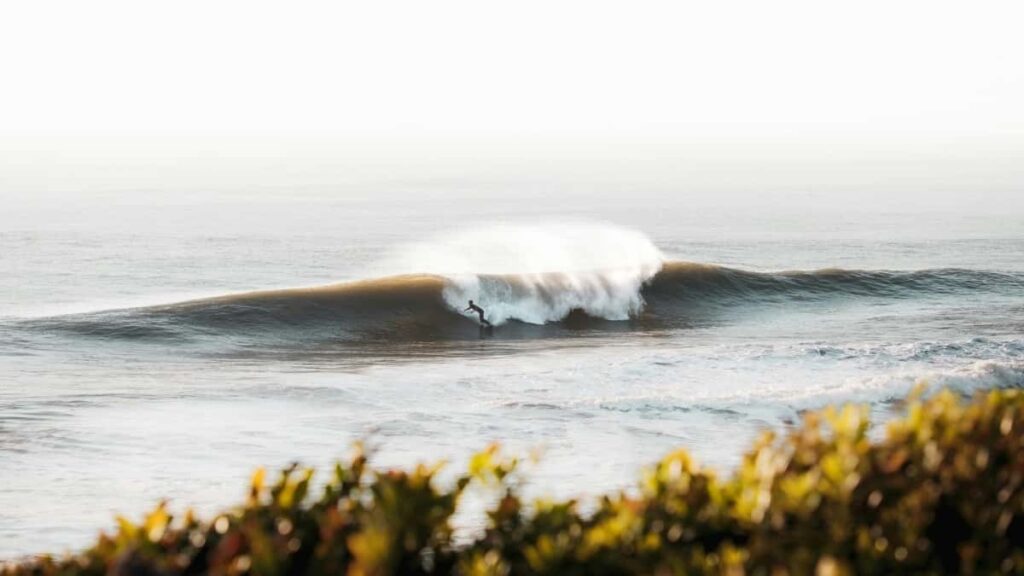 Gyors, gyakorlati utmutato magyar hirdetoknek: lepesrol lepesre modszerek Lengyelorszag Takatak-keszitoinek megtalalasahoz, egyuttmukodesi taktikak es trend-elorejelzes 2025 vegen.