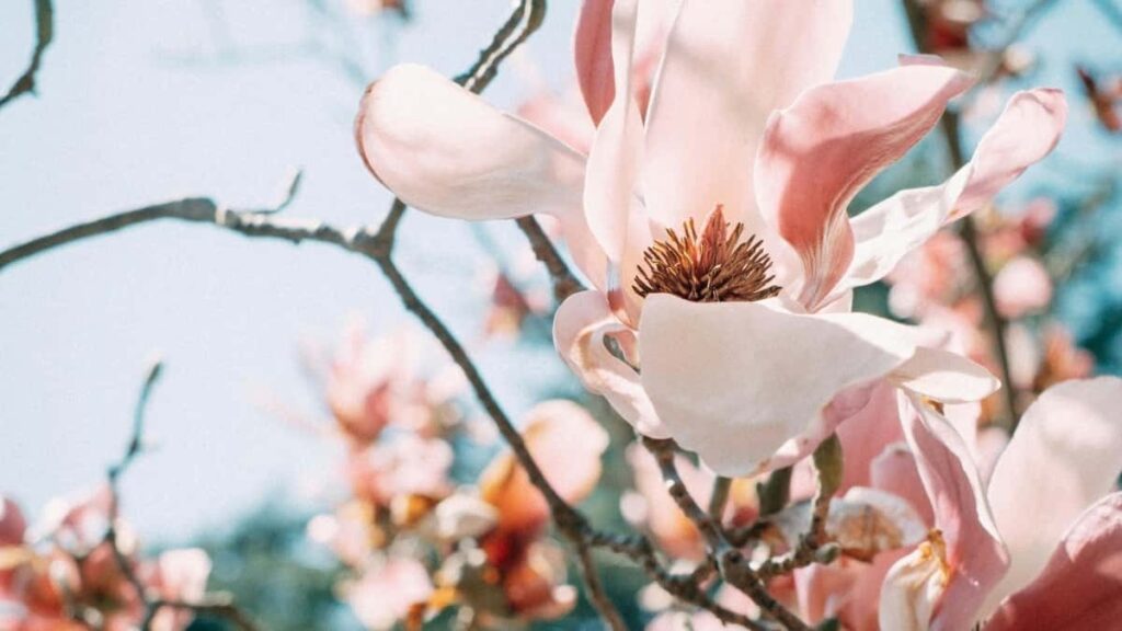 Gyakorlati utmutato magyar hirdetoknek: mikent talalj es tesztelj izraeli VKontakte-creatort a piaci kereslet meresehez jogi, mukodesi es kampanytaktikai tippekkel.