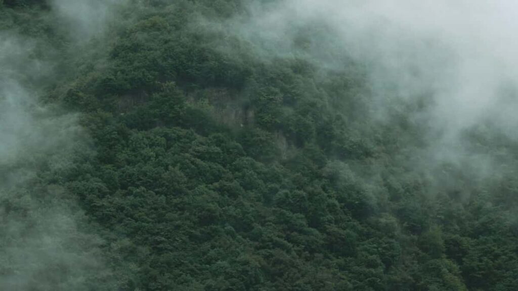 Gyakorlati utmutato magyar hirdetoknek: hogyan talalj Ecuadorban, Amazonkozeli es TikTokfokuszu alkotokat mobiljateklaunchhoz, egyuttmukodesi modellek es helyi monetizacios realitasok.