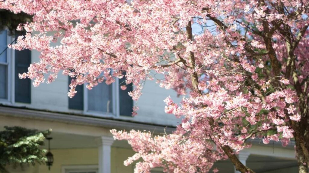 Gyakorlati utmutato magyar hirdetoknek: hol es hogyan talalj indiai, Netflix-kapcsolatu tartalomgyartokat wellness rutinok nepszerusitesehez, egyuttmukodesi modellek es platformtippek.