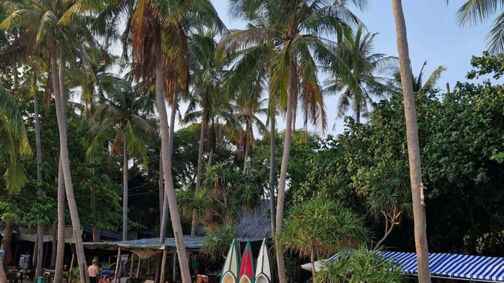 Gyakorlati utmutato magyar alkotoknak: hogyan talalj es szolits meg Fulop-szigeteki markakat Takatakon elotte/utana posztokhoz, tartalomstrategia es kapcsolatepites lepesrol lepesre.