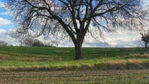 Gyakorlati, magyar utmutato hirdetoknek: hogyan azonositsd, megszolitsd es aktivald a kanadai Moj (Moj.app) alkotokat cobranded termekdropokhoz trendekkel, esettanulmanyokkal es actionable lepesekkel.