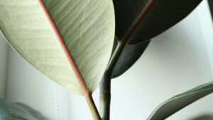 Gyakorlati utmutato hirdetoknek: hogyan talalj es szerzodtess Olaszorszagban aktiv Netflixtartalomgyartokat helyi turak nepszerusitesere.