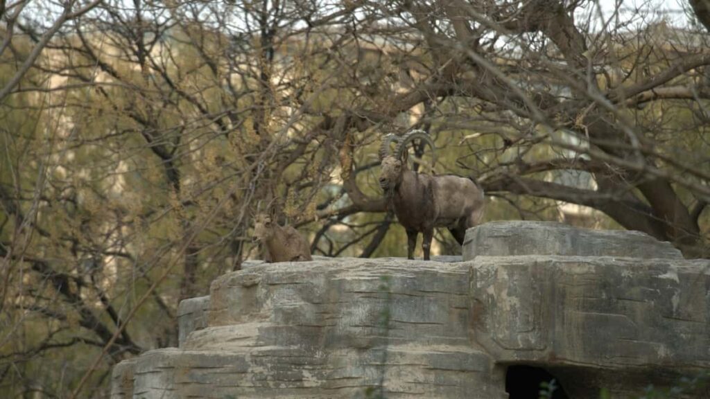 Gyors, gyakorlati utmutato hirdetoknek: hogyan talalj es aktivalj Luxembourg-i LinkedIn-creatorokat szezonalis divattrendekhez targetalas, outreach, es mero KPI-k.