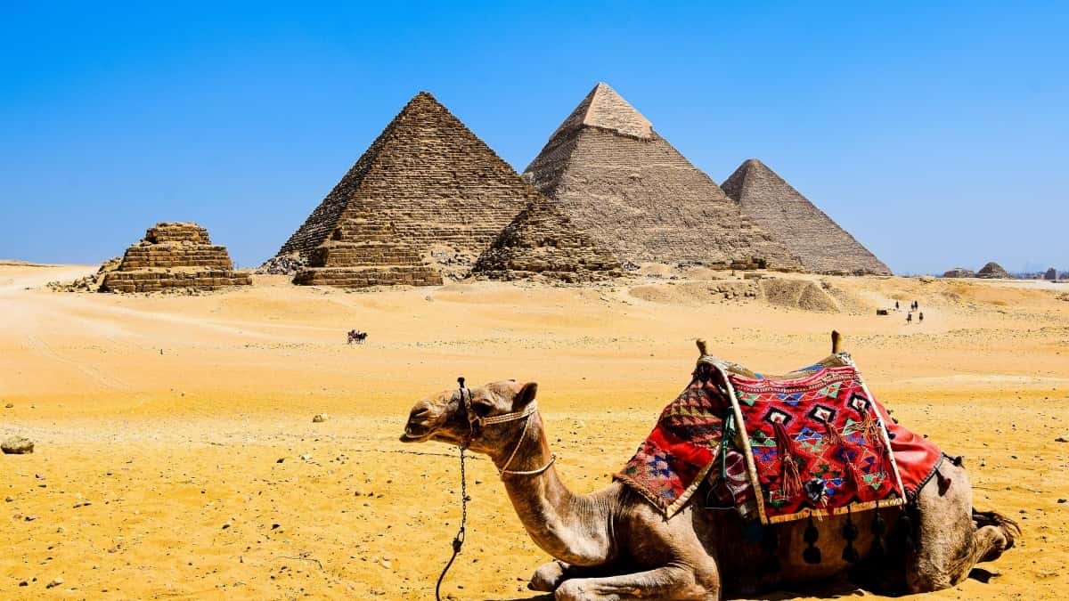 Magyar készítők: hogyan érd el a belgiumi márkákat Douyinon zenei trend együttműködésre?